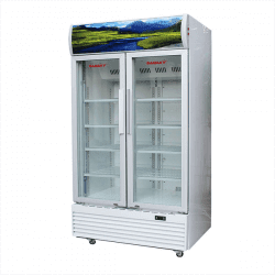 Tủ mát SANAKY 2 cánh mở 2 bên VH-8009HP